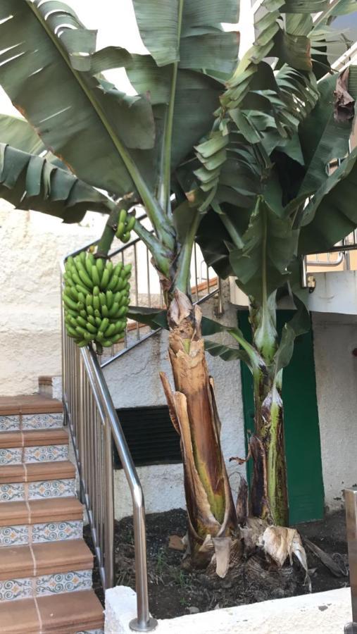 San BartoloméIn The Heart Of Playa Del Ingles公寓 外观 照片